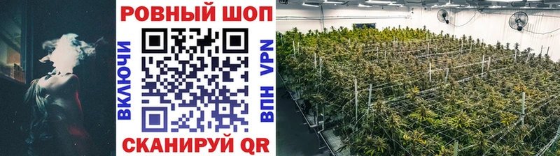 Alpha PVP Жердевка
