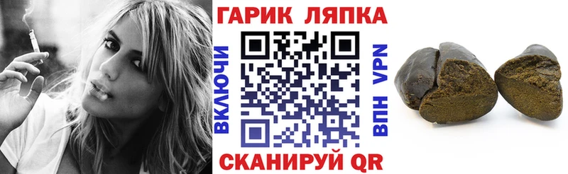 продажа наркотиков  мориарти клад  ГАШИШ индика сатива  Жердевка 