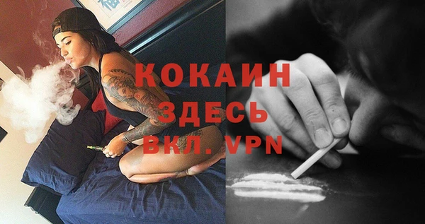 МДПВ Абаза