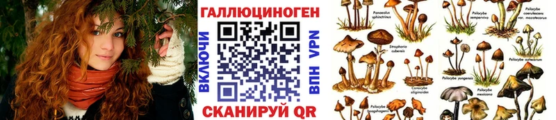 Галлюциногенные грибы Psilocybine cubensis  KRAKEN ссылка  Жердевка  где продают наркотики 